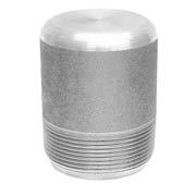Super Austenitic Stainless Steel Threaded Round Head Plug Super Austenitic Stainless Steel Threaded Round Head Plug